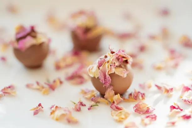 Coin365Bet Casino Android/iOS rakendus